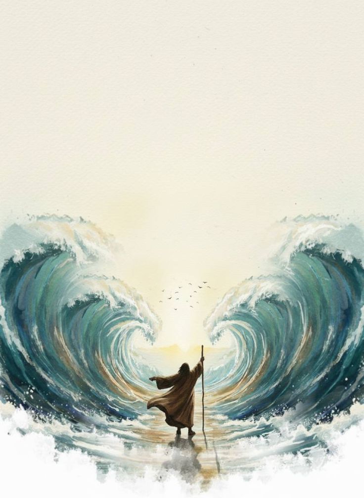 Digital Illustration